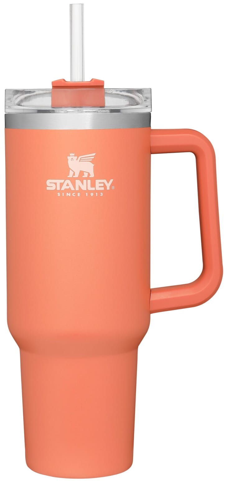 This Stanley Adventure Quencher Restock Includes New Spring Colors